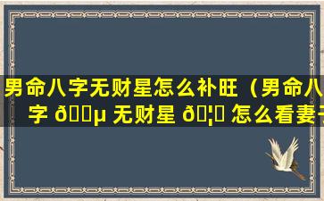 男命八字无财星怎么补旺（男命八字 🐵 无财星 🦊 怎么看妻子情况）